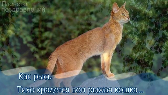 Чудесного летнего настроения