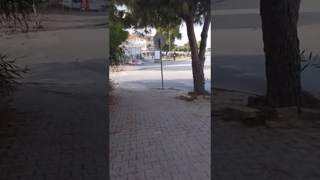 Дорога до пляжу (початок) Sunlight Garden 3* Side Turkey 04-12.10.2020 смотреть онлайн