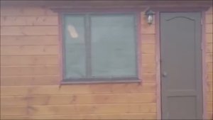 КУРЯТНИК ДЛЯ НАЧИНАЮЩИХ.