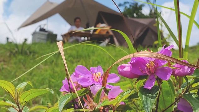 Camping with the clouds in Tanay Rizal | Day 2 смотреть онлайн