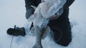 ТАКОЕ РЕДКО УВИДИШЬ | КАК ИСКАТЬ СУДАКА НА ВОДОХРАНИЛИЩЕ ЗИМОЙ?