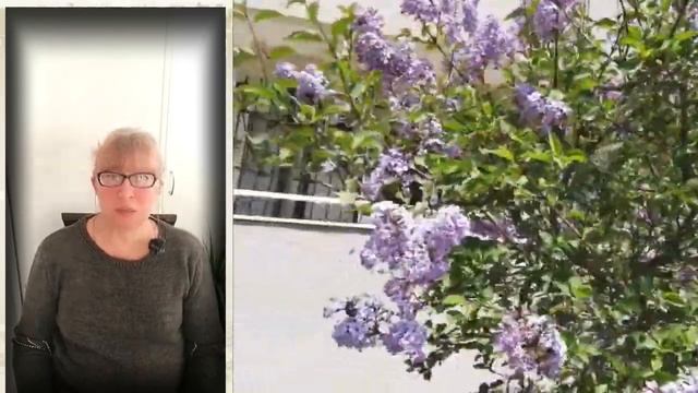 Три главные причины твоей депрессии и неудач в жизни смотреть онлайн