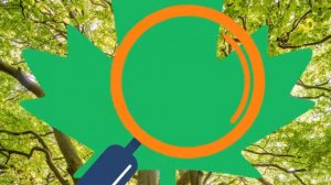 Why do leaves change their color in fall?