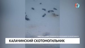 Калачинский скотомогильник