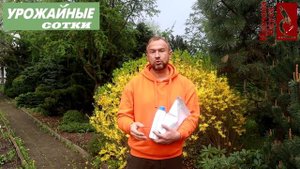 Не упустите шанс получить большой урожай! Лучшее удобрение для томатов и огурцов из... ржавчины!