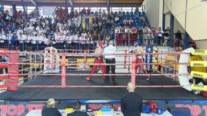 Danil Borozdin v Nurettin Diler WAKO European Championships 2016