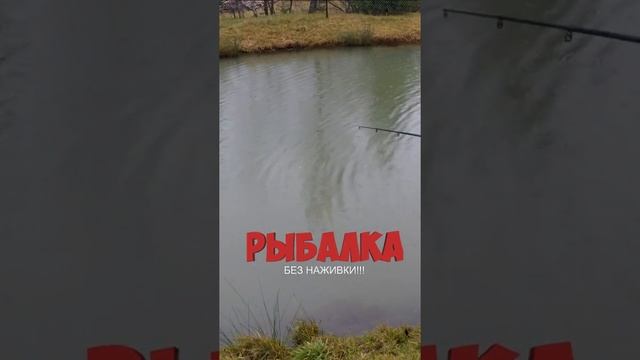 Рыбалка БЕЗ наживки! #Shorts