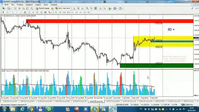 Аналитика Кирьянцева Владимира 06.09.2016г. смотреть онлайн