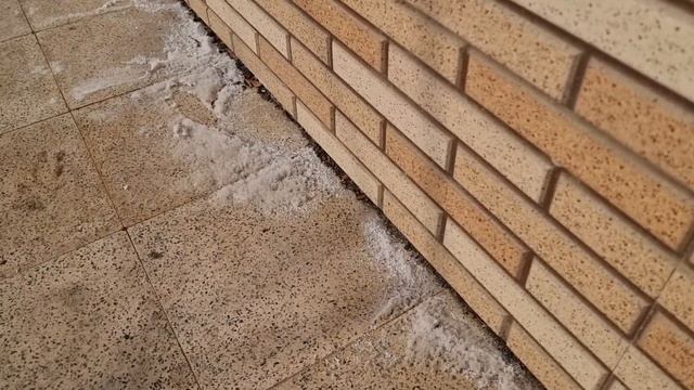 жизнь на солончаках - выступила соль на дорожке