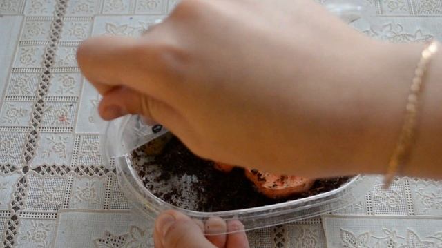 РАСПАКОВКА ПОСЫЛКИ/ улитки по обмену смотреть онлайн