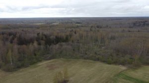 д. Орехово. Весна 2021 г..mp4