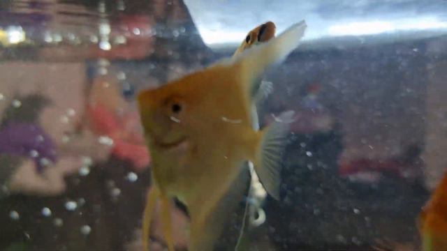 10 апреля 2023 г. смотреть онлайн