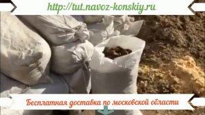 Свежий навоз. Бесплатная доставка по московской области!