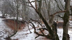 Судак на костре в гриле Садж Азербайджанская Кухня Деревенская Кухня  Рецепты