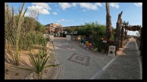 Тунис
 Джерба