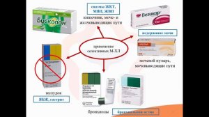 4.7. Селективные М-холинолитики (М-холиноблокаторы)