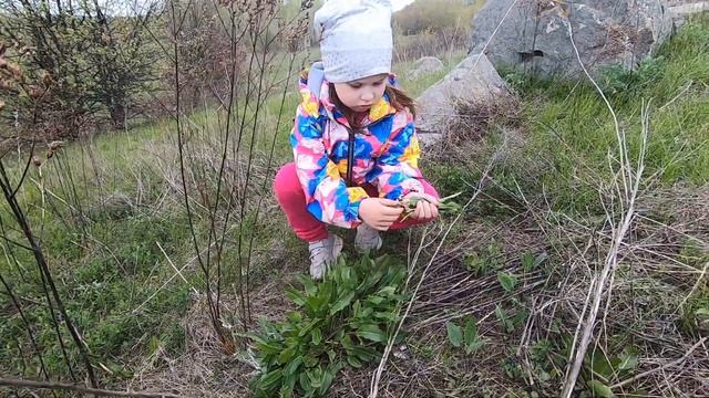 Влог/Каменная сказка на берегу реки Сухой Семенёк/Долина Камней/stone fairy tale смотреть онлайн