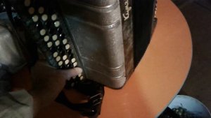 Баян кунгур