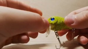 Обзор на мои покупки из рыболовного магазина каида фиш#рыбалка#щуказимой#воблерынащуку