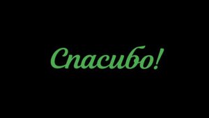 Вот я и окончила школу