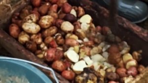 НАШЕ  ИСПЫТАНИЕ ДКУ «ОПТИМУС» ИЗМЕЛЬЧИТЕЛЬ ЗЕРНА, СОЛОМЫ, СЕНА, ТРАВЫ, КОРНЕПЛОДОВ