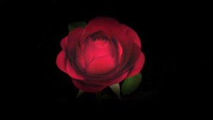 ENBE ORKESTRASI - СТАС МИХАЙЛОВ  # НУ ВОТ И ВСЁ # НА ТУРЕЦКОМ ЯЗЫКЕ.... Вера и Геннадий Ковтун.