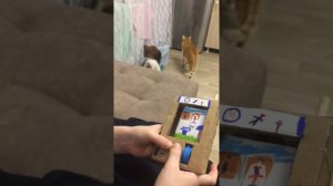 ❗️Как сделать игру МАРИО из КАРТОНА.