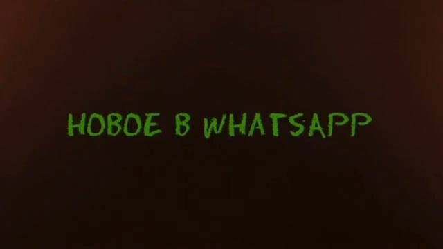 ВЕРБЛЮД ОТКУСИЛ ГОЛОВУ ПОГОНЩИКУ!