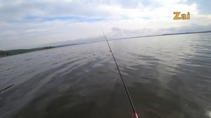 ЩУКА В МАЕ. ТЕСТ СПИННИНГА TEAM DUBNA.