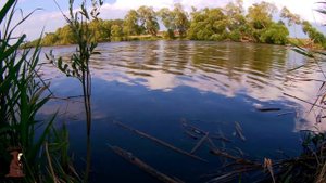 Ловля Карася на пруду моего детства, рыбалка на карася с берега на донки