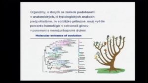 TEDxBratislava - Juraj Krajčovič - Role of bacteria in global warming