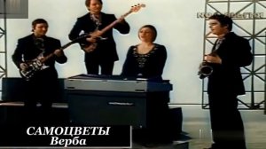 ВИА Самоцветы Верба
