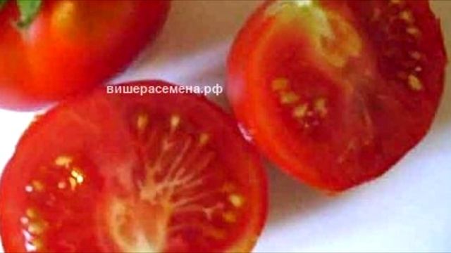 Самые ранние помидоры купить