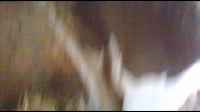 Страус с коровой обосрались