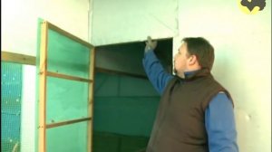 Цесарка: Загорская белогрудая порода