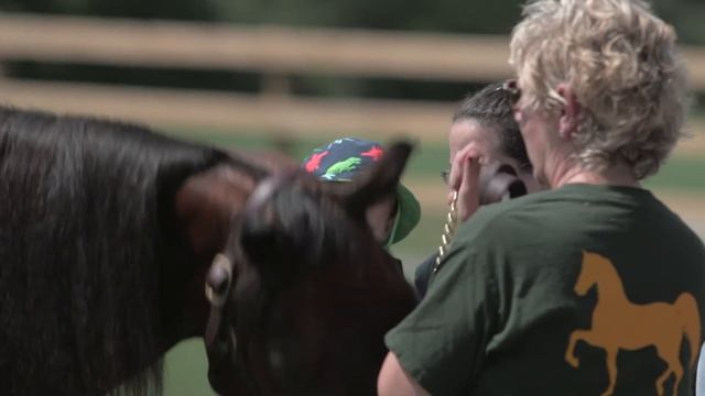 University of Vermont Morgan Horse Farm- Living History смотреть онлайн