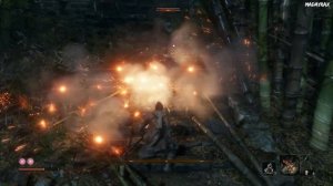 Прохождение ► Безымянный ниндзя в бамбуковой роще на склоне - Sekiro: Shadows Die Twice