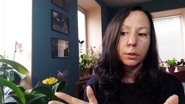 #05. Любимый Лев. Стадии развития сердца. Девизы знаков ♊, ♋ и Лев смотреть онлайн