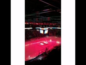 Хоккей СКА  Динамо Минск 2020 январь 28