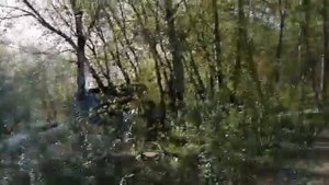 Парк молодёжный город Казань