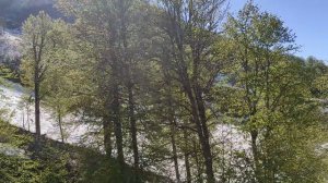 Конец мая. Роза Хутор