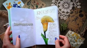 Травник. Обзор