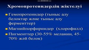 Нәруызды жіктеу, Есенова Н.