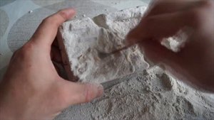 Раскопки динозавров.Ищем скелетов динозавров.