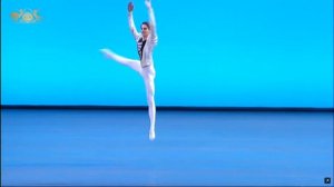 Makar Mikhalkin (Russia) - Siegfried Variation | XIV Moscow Ballet Competition, Junior Round 3