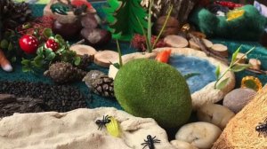 ? Идеи сенсорной коробки для детей. ?☘ ? ? ?