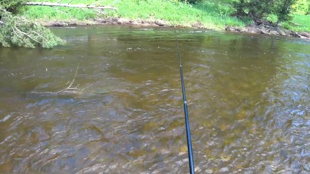 Открытие сезона 2021! Встреча с блогерами на горной реке! смотреть онлайн