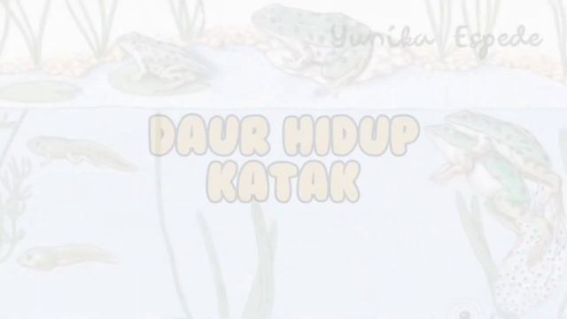 DAUR HIDUP KATAK - METAMORFOSIS KATAK - METAMORFOSIS SEMPURNA смотреть онлайн