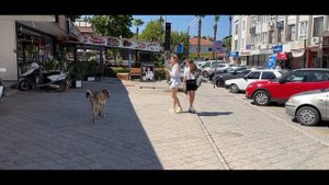Отель Club Tuana Fethiye 5*, Турция Фетхие 2022