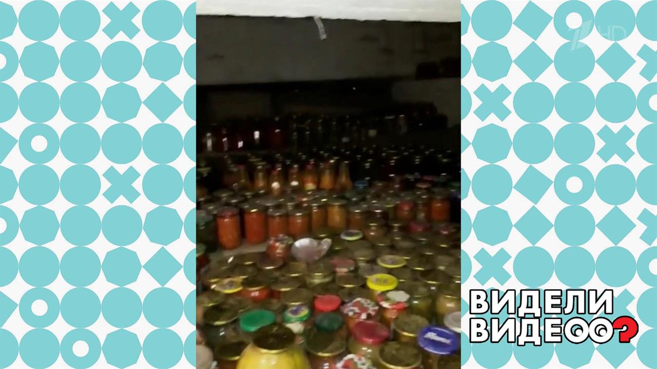 Тещин подвал. Видели видео? Фрагмент выпуска от 07.01.2020